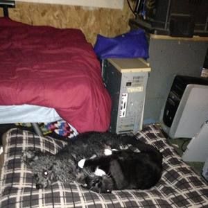 Meet your Posher, Deborah